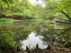 -上海共青森林公园