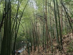 -敬亭山风景名胜区