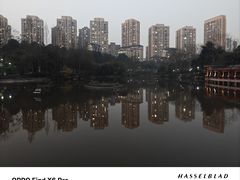-龙头寺公园