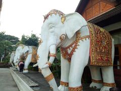 景点-告庄西双景