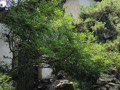 -汇龙潭