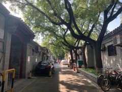 -北京市东四九条小学