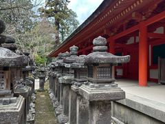 -奈良公园