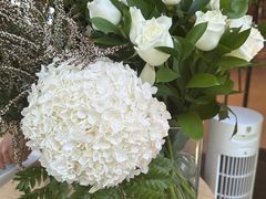 -Canada Goose加拿大鹅(北京三里屯太古里店)