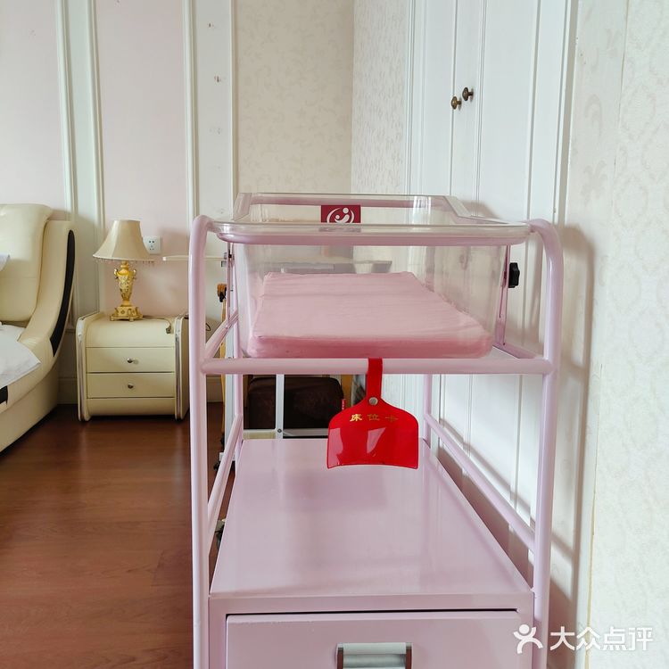 名媛贵妇如何坐月子？复旦奥医✨上海高端专业月子中心[强]