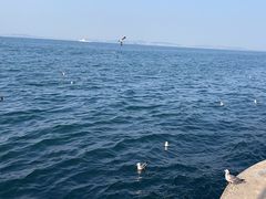 -大连海昌东方水城