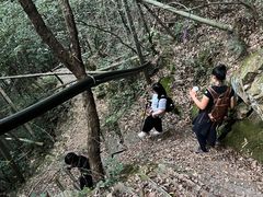 -径山寺