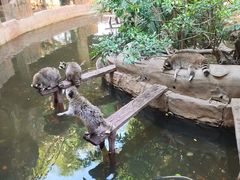 -长鹿旅游休博园