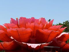 -洛阳市隋唐城遗址植物园
