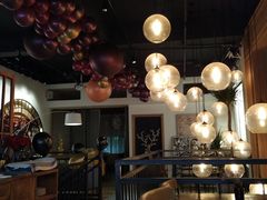 店内布置-Daisy雏菊