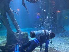 -华夏文旅海洋公园