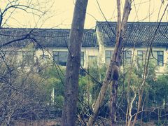 -西溪国家湿地公园