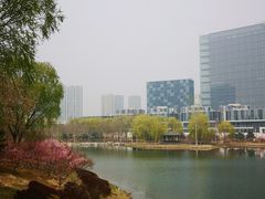 -大兴滨河森林公园