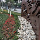 是一个很不错的社区小游园