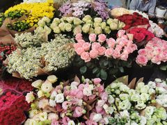 -曲阳花鸟市场(曲阳路店)