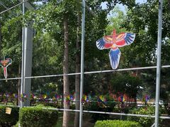 -南宫五洲植物乐园