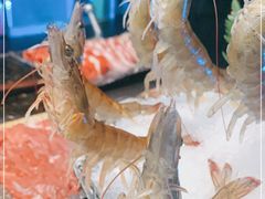 -王家渡火锅店(棕榈泉店)