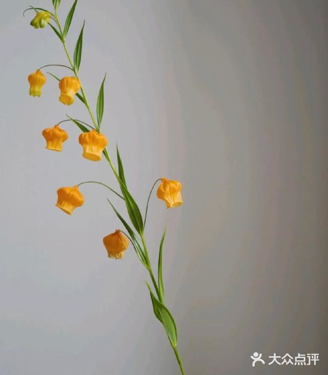 💢🌟鲜花中的爱马仕🌟💢