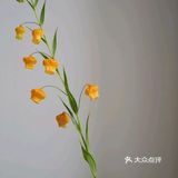 💢🌟鲜花中的爱马仕🌟💢
