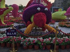 -徐州乐园加勒比水世界
