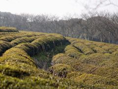 -凤凰沟景区