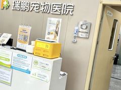 -瑞鹏宠物医院·骨外科·心肾科·肿瘤科(九亭店)