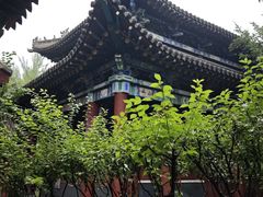-碑林公园