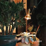 巷子里的私房菜馆