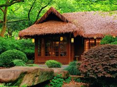 -中国茶叶博物馆(双峰馆区)