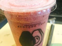抗氧蓝莓-油梨树AVOCADO TREE(顺义新国展店)
