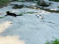 -孤山寨风景区