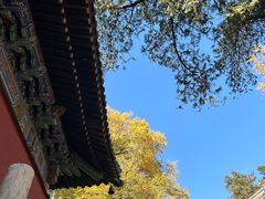-潭柘寺景区
