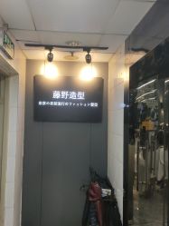 -藤野造型