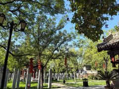 -大槐树寻根祭祖园