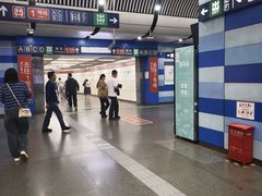 -大望路(地铁站)