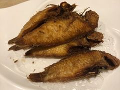 香煎英哥鱼-金穗园·砂锅粥.醉鸡煲火锅(长寿路店)