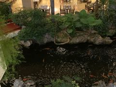 -广州白天鹅宾馆