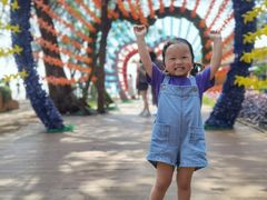 -北海金海湾红树林生态旅游区