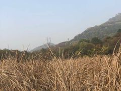 -西湖风景区-江洋畈生态公园