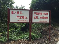 iphone_upload_pic-广西龙虎山风景区
