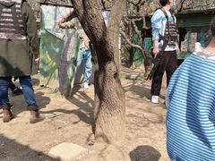 -南山特攻真人CS户外露营轰趴拓展基地