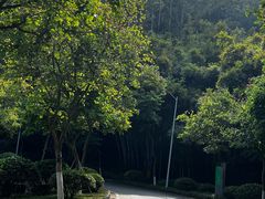 -火炉山森林公园