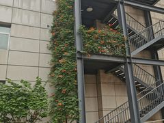 -北京大学口腔医院(魏公村总院)