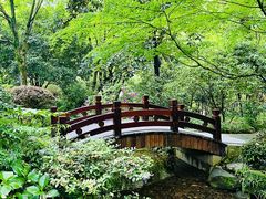 -中国茶叶博物馆(双峰馆区)