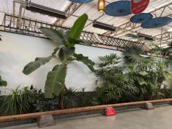 点击看大图 -特味村·宴会厅(生态园店)