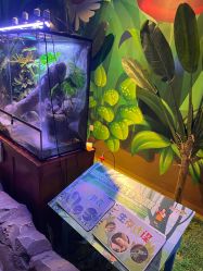 -酷嗒动物文化乐园(cutezoo西溪乐天城店)