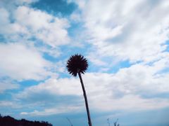 -白草畔自然风景区