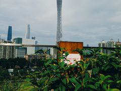 -小茶闲舍·观景商务茶馆(广州塔店)