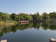-上海长兴岛郊野公园