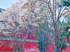 -大钟寺古钟博物馆